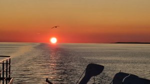 "Choice" (Твой выбор). Песня на стихи Дарьи Дэф, музыка AI Suno