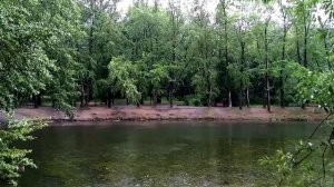 Летний дождь гуляет по лужам!