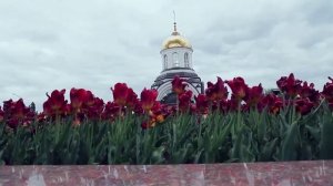 ВЛАДИМИР КУРСКИЙ - ВОРОНЕЖ. ЖИТЕЛЯМ ВОРОНЕЖСКОЙ ОБЛАСТИ И ГОРОДУ ВОРОНЕЖ ПОСВЯЩАЕТСЯ  (720p)