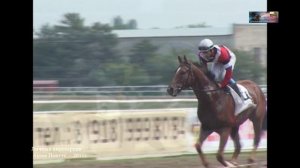 2011 Фильм КОННЫЙ СПОРТ ООО НТК Тихорецк ТВ