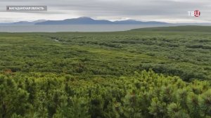 В Магаданской области теперь можно пройти медвежьей тропой по заповедным местам / События на ТВЦ