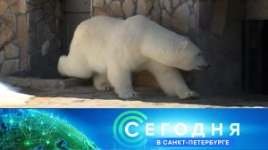 «Сегодня в Санкт-Петербурге»: 14 августа 2025 года