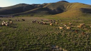 Дагестан Высокогорный ТАБАСАРАН