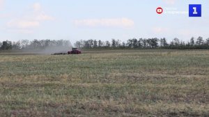 В Луганской Народной Республике приступили к сбору урожая нута