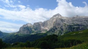 Возвращение из приюта Фишт в Адыгею, август 2025. Финиш и медвежонок