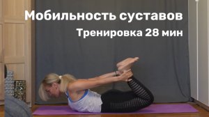 Тренировка на мобильность и гибкость для всего тела