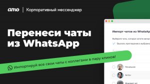 amo | Импорт чатов из WhatsApp