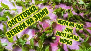 🌿 Секреты идеальной сушки зелени! 🌿