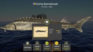 СУПЕР КЛЕВ И ФАРМ НА ЛАДОЖСКОМ АРХИПЕЛАГЕ, ЗАРАБОТОК НА МОРЕ И ЧАВА НА ЯМЕ В РУССКОЙ РЫБАЛКЕ 4 РР4