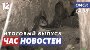 Полчища крыс / Омский оркестр / Массовое задержание. Новости Омска