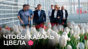 Чтобы Казань цвела 🌺