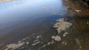 д.Ростислаевка, Ульяновская область, 2024г. май и сентябрь.