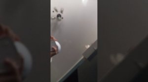 попробуй набрать + 6 кг