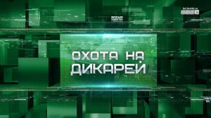 Сезон «Охоты на дикарей» в самом разгаре