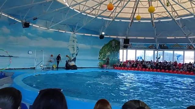 Дельфинарий. Минск. 10.04.2021 смотреть онлайн