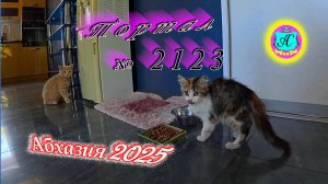 #Абхазия2025🌴 14.08.25г. Выпуск №2123🌡вчера +33°🌡ночью  +21°🐬море +27,5❗