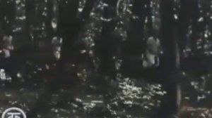 Ставрополь. 1986 год. День города