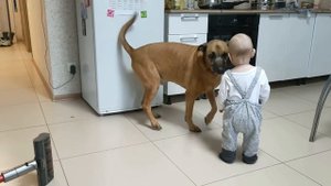 Решили по пробовать. Бесполезно съездила . Опять в больнице. Немцы строят дом. Из Германии в Россию.