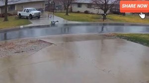 Большие провалы ✓ Смех до слёз ✓ забавные и опасные моменты 🤣🤯🤔👍🚀