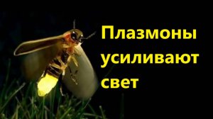Плазмоны усиливают свет