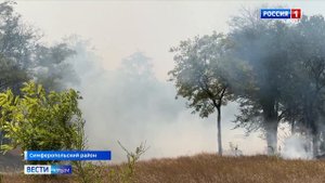 Ситуацию с ландшафтным пожаром в Симферопольском районе взяла под контроль прокуратура Крыма