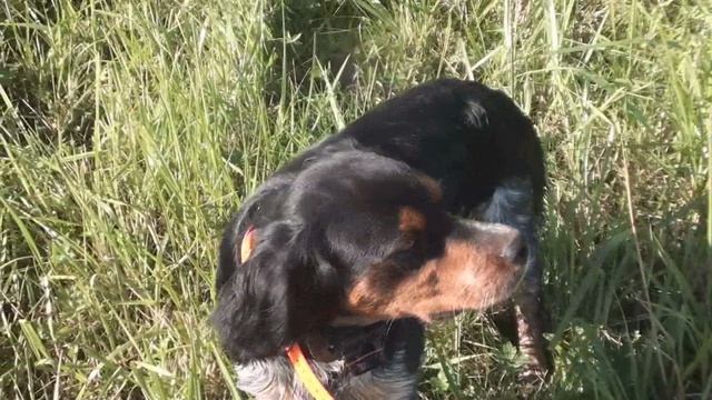 Бретон Марко - несколько верных работ