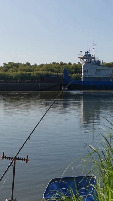 Поклёвки на фидер #фидер #рыбалка #поклевканафидер смотреть онлайн