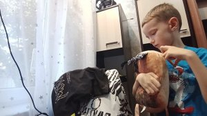 такушки паратушки рандомные вещи Шедоу