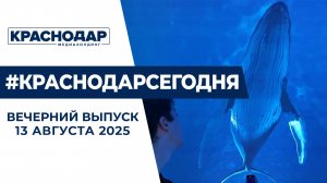 ДТП со скорой помощью, новая локация в парке «Краснодар». Новости 13 августа.