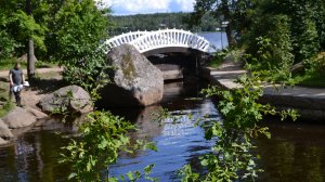 Парк Монрепо, прогулка в лесу.