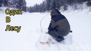 РЫБАЛКА НА КОСЫНКИ. УШЕЛ ОТО ВСЕ И НАЛОВИЛ РЫБЫ.