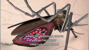 На заметку мусульманам, если собираетесь путешествовать