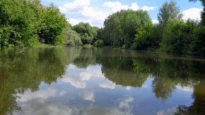 Всплеск рыбы на Нижнем Еринском пруду