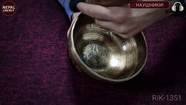 RIK-1351