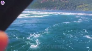 Невероятные моменты, запечатленные на камеру