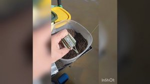 Выезд на Давыдовку. проверка пикера Горилла Олта 2.7 до 30г