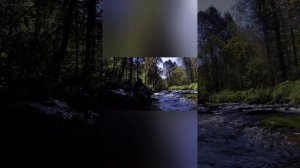 Таежная поездка за Хариусом