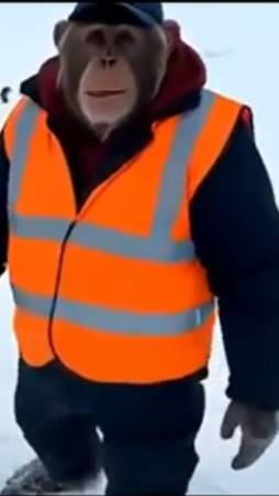 Гоша обезъянов нашел новую работу смотреть онлайн