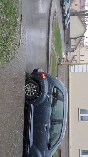 погода. Гродно. 23.04.2021 смотреть онлайн