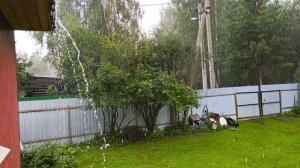 Каждый день дождь.
Московская область.