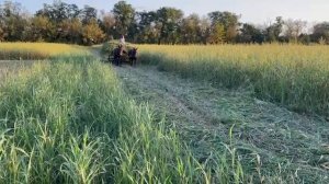 везу суданку 2023 год