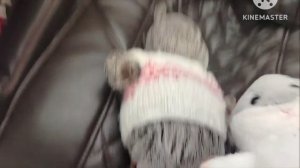 Басики в Жар-пицце 6 ребят. 5 видео 1 часть