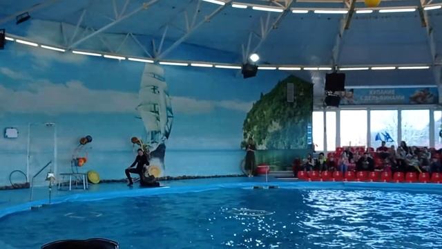 дельфинарий смотреть онлайн