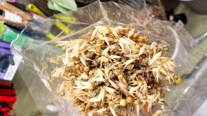 ФАМИЛИЯ 💜СТОЛЬКО ВСЕГО! ОБНОВЛЕНИЕ 🍂 ДЕКОР ❀ ПОСУДА ❀ АКЦИИ И СКИДКИ