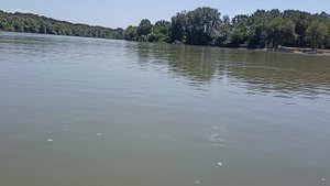 VID_20250814_115200