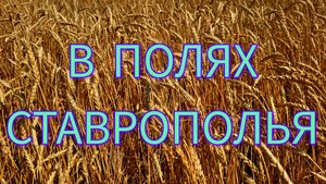 В полях  Ставрополья