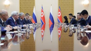 Вячеслав Володин заявил об укреплении отношений между Россией и КНДР на встрече с Цой Рён Хэ