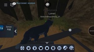 Мы с сестрой нашли лунный камень Сероушка и будущая Листогривка