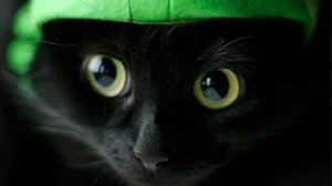 АХАХА😂😂😂