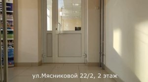 Новый дом Солнечного леса